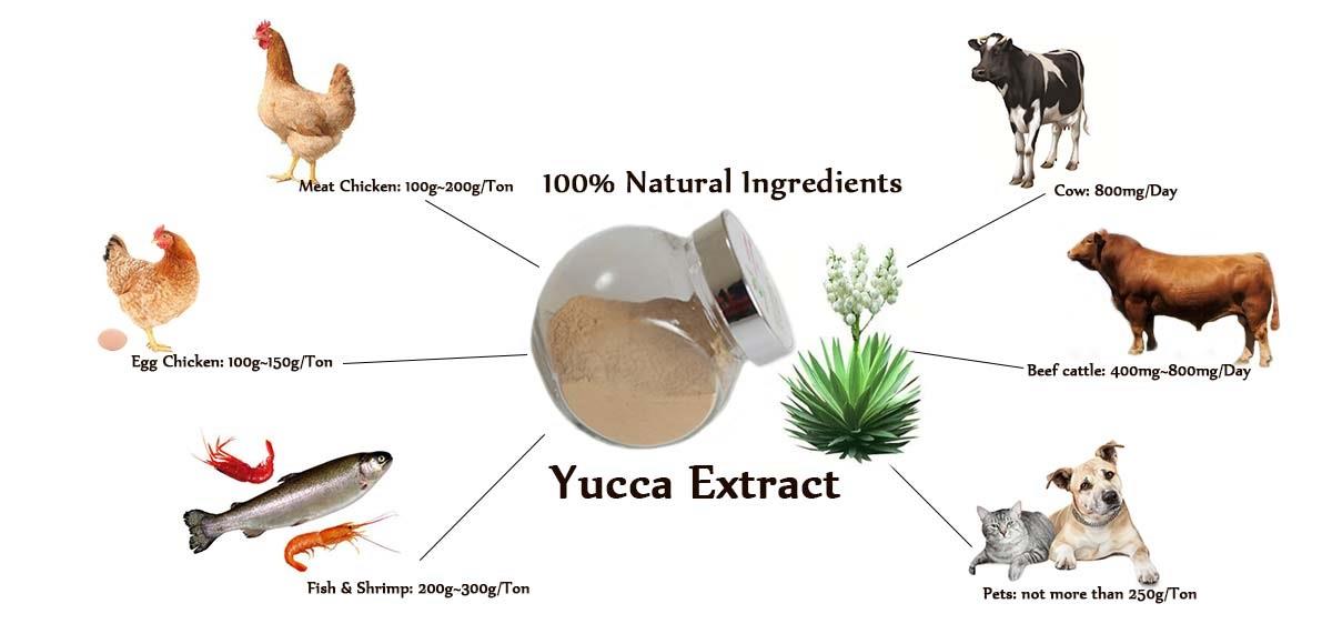 product-500-1 Natural feed additives yucca extract powder