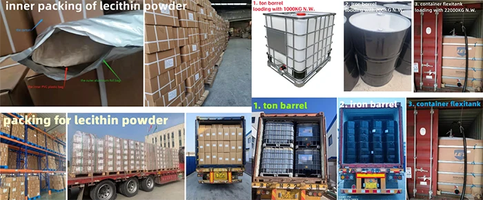 Saponin Powder 60% Saponin Powder 60%