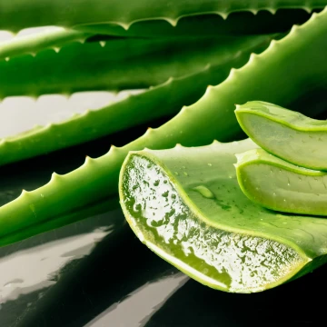 Njega peradi koristeći Aloe Veru