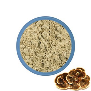 Pureća repa gljiva u prahu