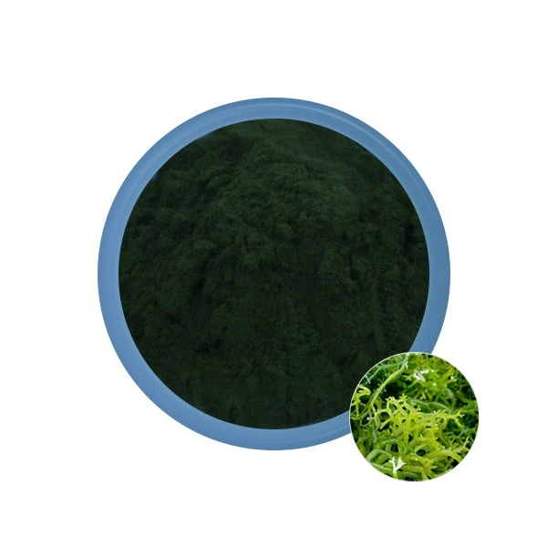 Spirulin prah Bulk