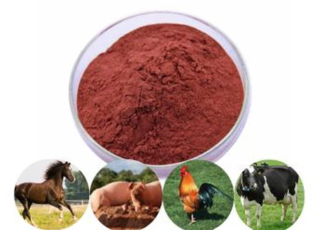 astaxanthin supplier astaxanthin supplier